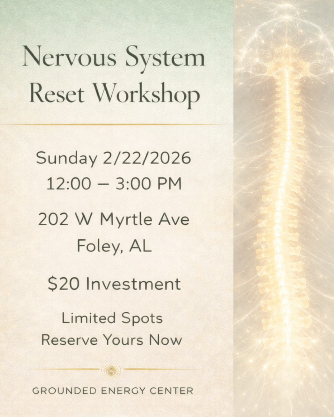 Nervous System Reset