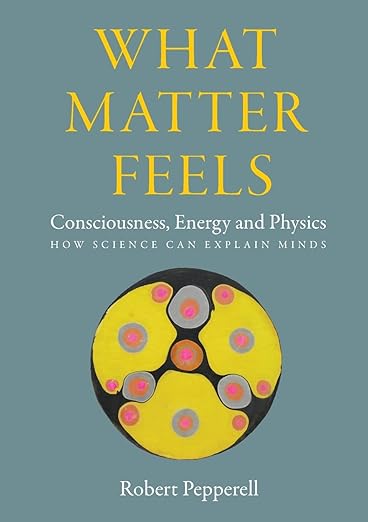 What Matter Feels: Consciousness, Energy and Physics